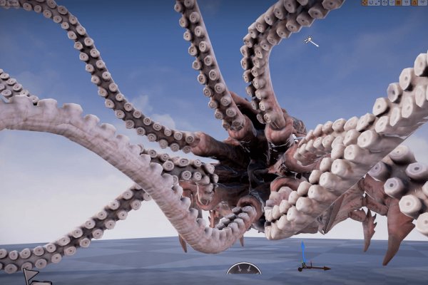 Kraken рабочее зеркало на сегодня