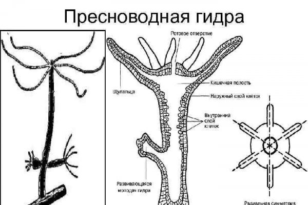 Мега битки